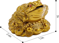Feng Shui Money Frog, Lucky Money Toad Decorations,Ideal for Attracting Wealth