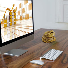 Feng Shui Money Frog, Lucky Money Toad Decorations,Ideal for Attracting Wealth